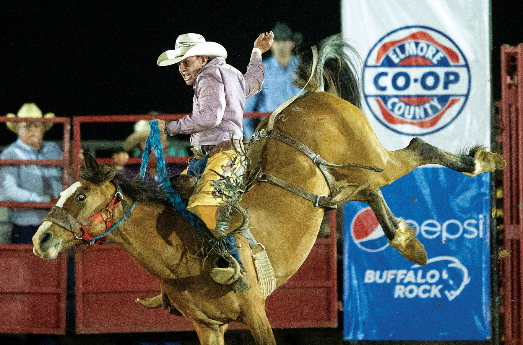 0508 Rodeo 12.jpg